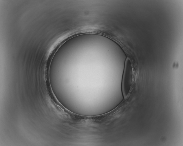 X0000112860244200908211102