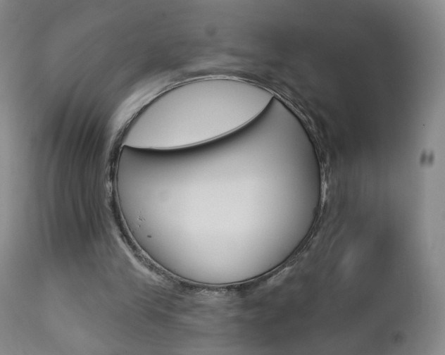 X0000112860245200908211102