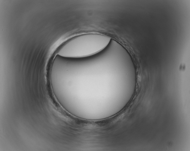X0000112860246200908211102