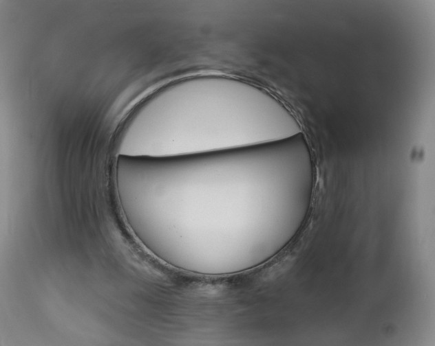 X0000112860247200908211102