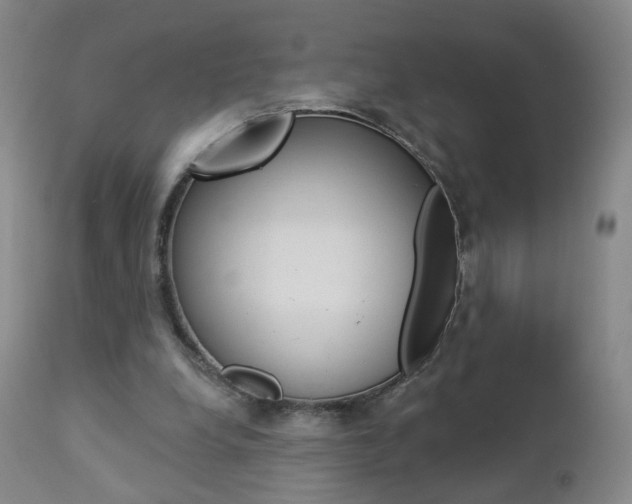 X0000112860248200908211102