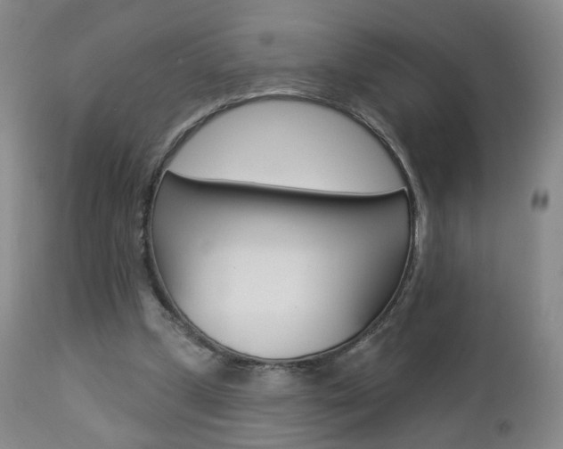 X0000112860249200908211102