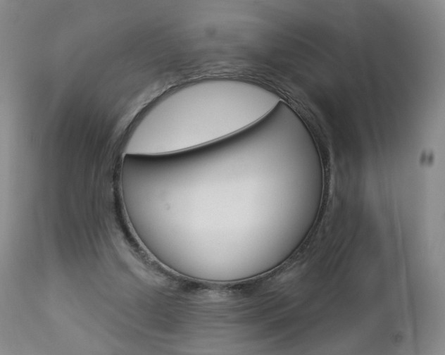 X0000112860250200908211102