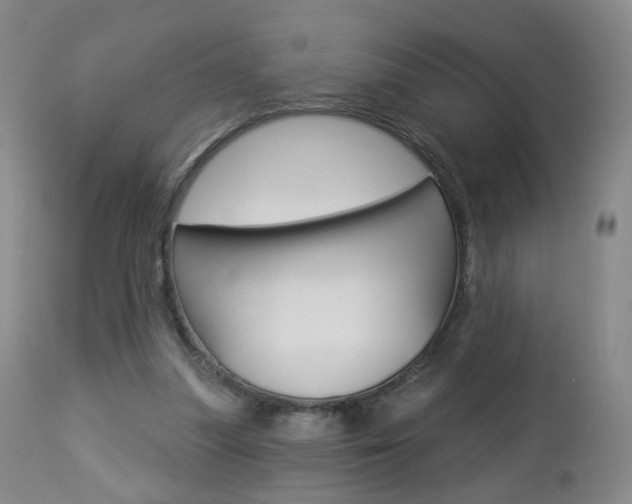 X0000112860251200908211102