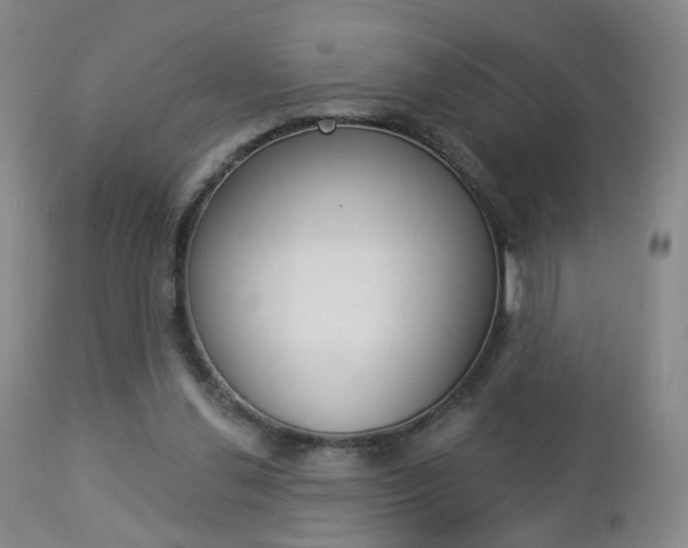 X0000112860252200908211102
