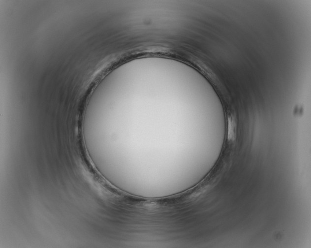 X0000112860253200908211102