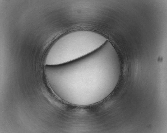 X0000112860254200908211102