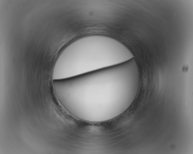 X0000112860255200908211102