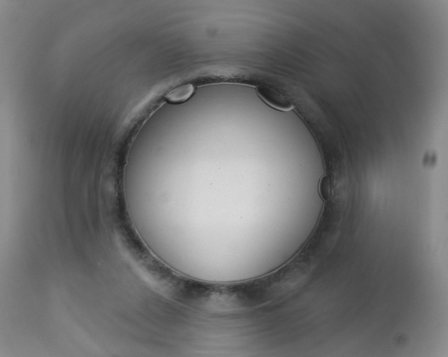 X0000112860256200908211102
