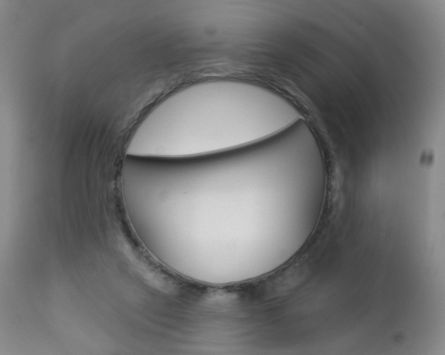 X0000112860257200908211102