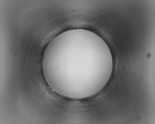 X0000112860258200908211102