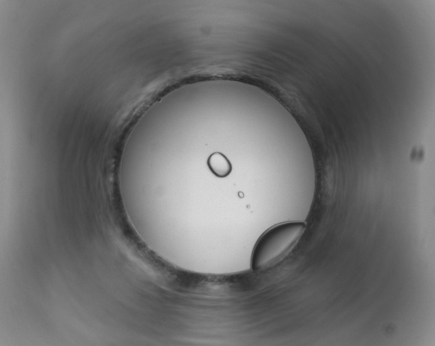 X0000112860260200908211102