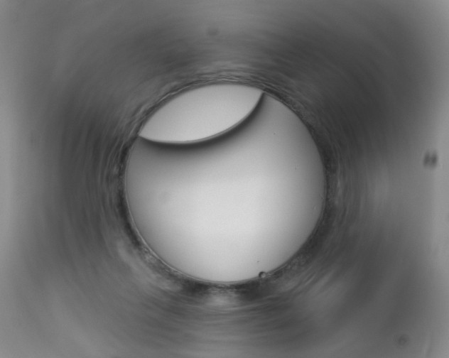 X0000112860263200908211102