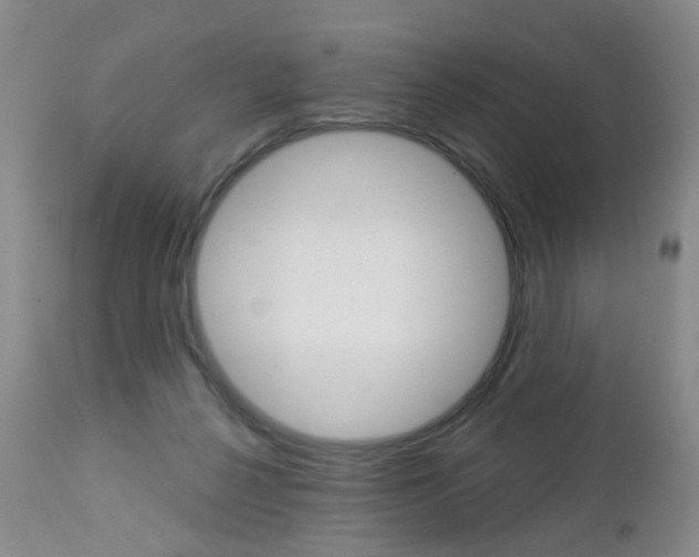 X0000112860264200908211102