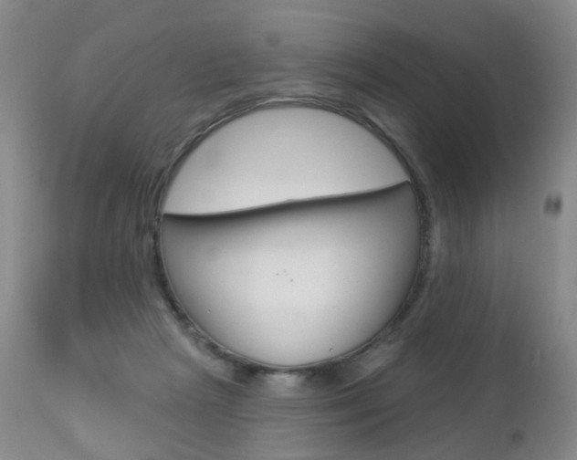 X0000112860265200908211102