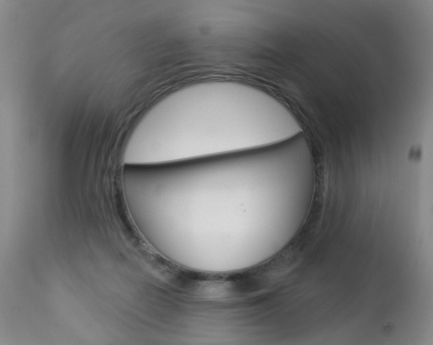 X0000112860266200908211102