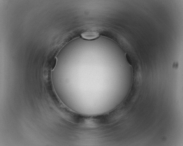 X0000112860268200908211102