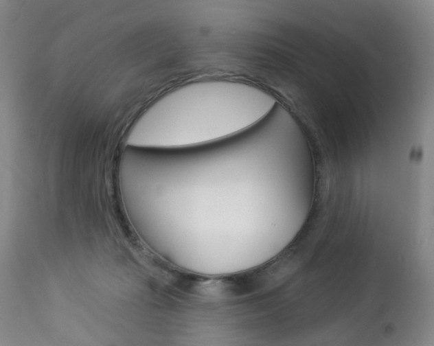 X0000112860269200908211102