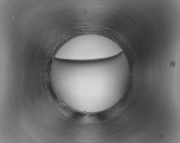 X0000112860270200908211102