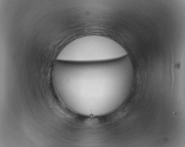 X0000112860271200908211102