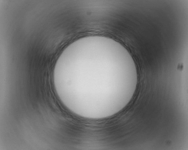 X0000112860272200908211102