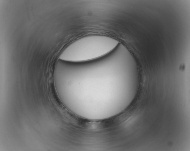 X0000112860273200908211102