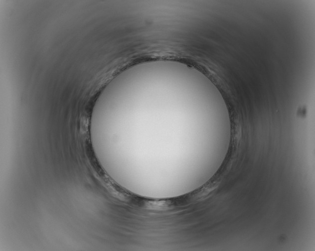 X0000112860281200908211102