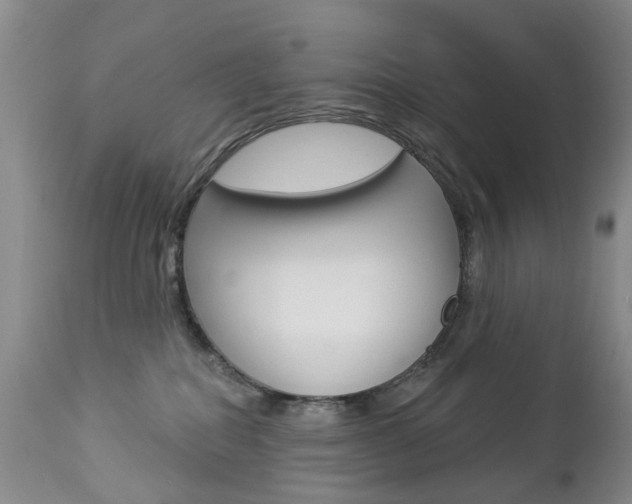 X0000112860282200908211102