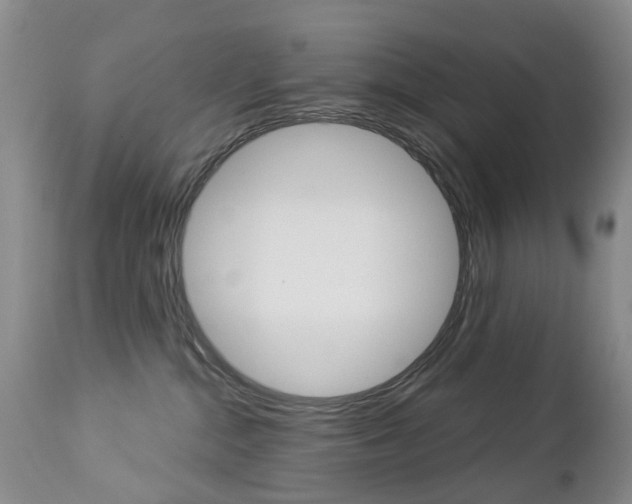 X0000112860284200908211102