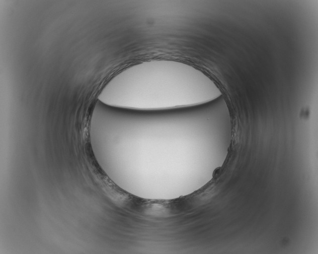 X0000112860285200908211102