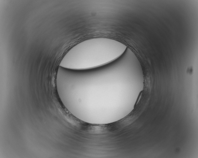 X0000112860286200908211102