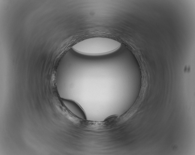 X0000112860288200908211102