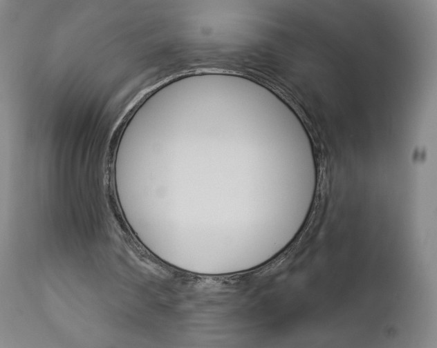 X0000112860290200908211102