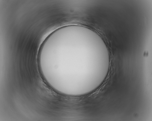 X0000112860292200908211102