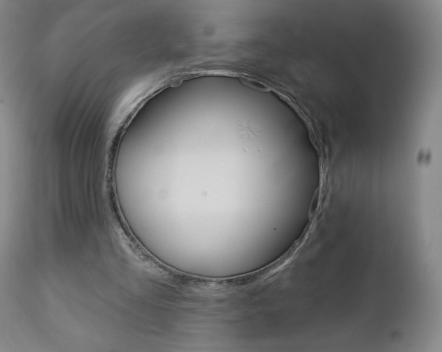 X0000112860293200908211102