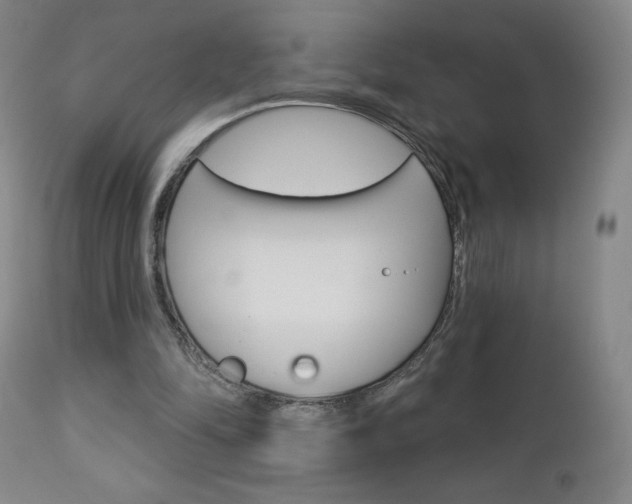 X0000112860294200908211102