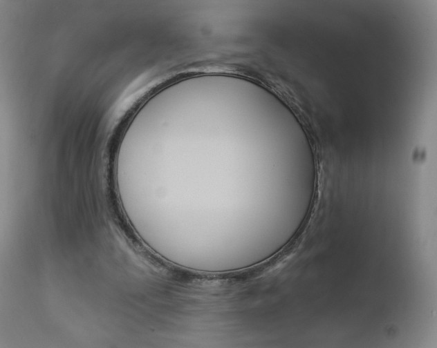 X0000112860295200908211102