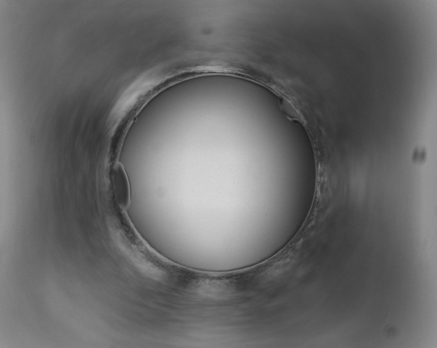 X0000112860296200908211102