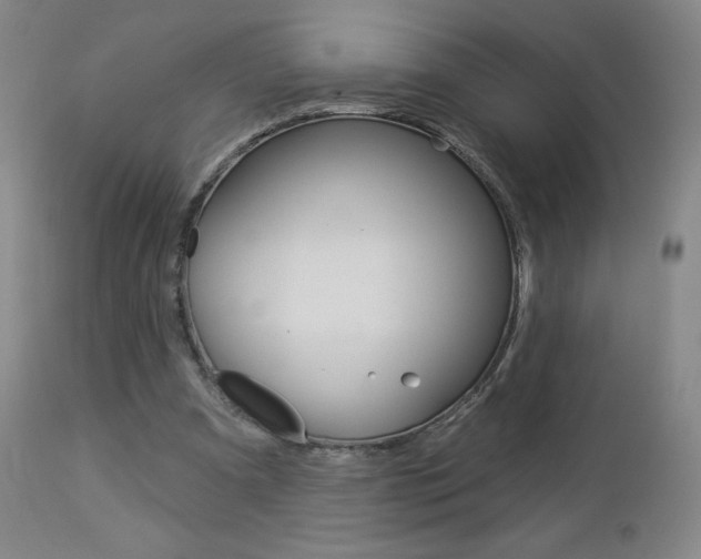 X0000112860297200908211102