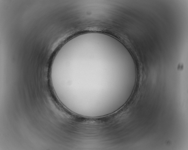 X0000112860299200908211101