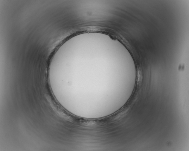 X0000112860301200908211101