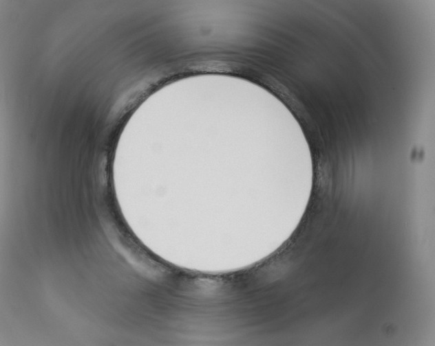 X0000112860302200908211101