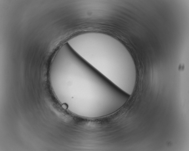 X0000112860303200908211101
