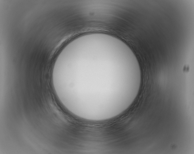 X0000112860304200908211101