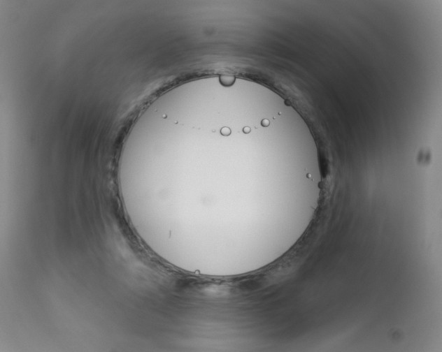 X0000112860306200908211101