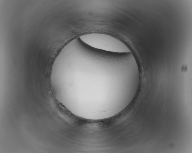 X0000112860307200908211101