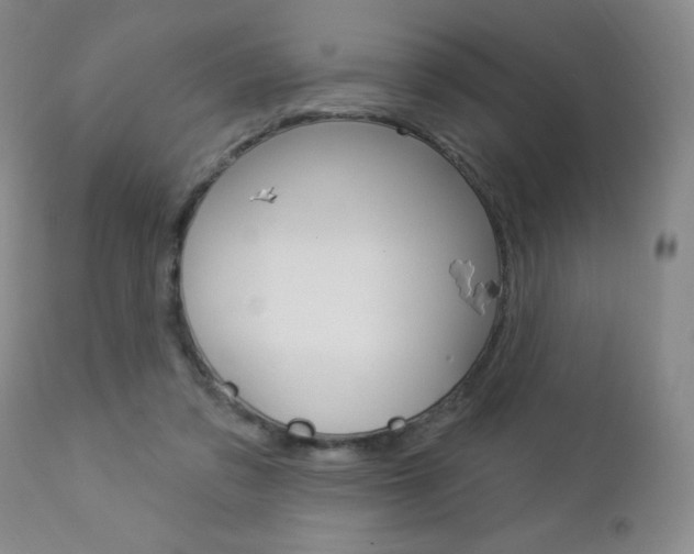 X0000112860309200908211101