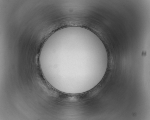 X0000112860310200908211101