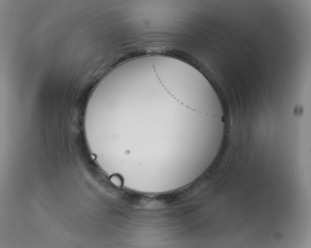 X0000112860311200908211101