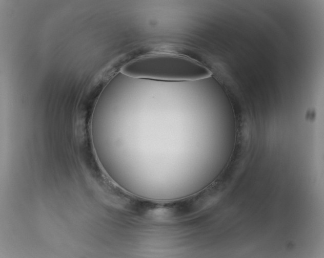 X0000112860312200908211101